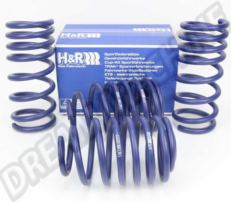 ressorts-courts-h-r-vw-t25-t3-45mm-dm29951-1