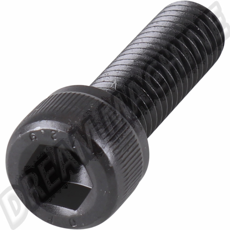 vis-etrier-frein-vw-m10x30-311615293r