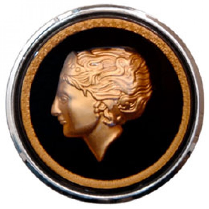 bouton-klaxon-flat4-motif-dame-doree-volant-banjo-volkswagen