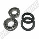 Roulements de roue arrière à cardans pour Volkswagen - 131598625
